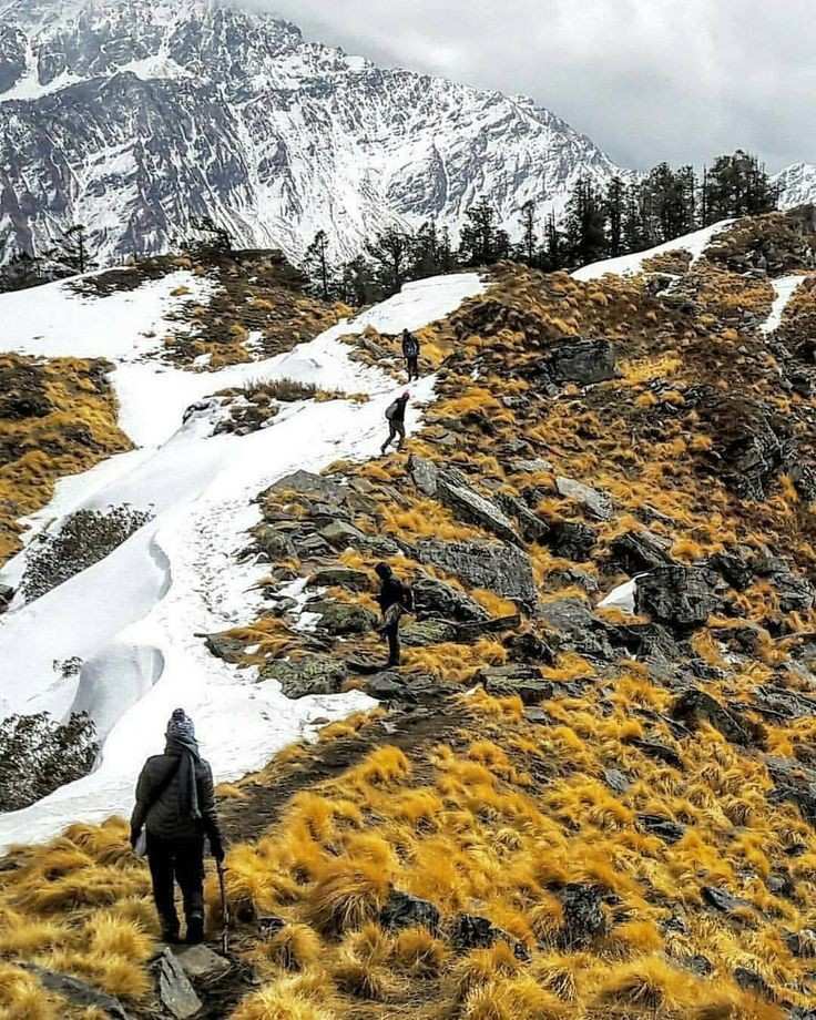 Kuari Pass Trek